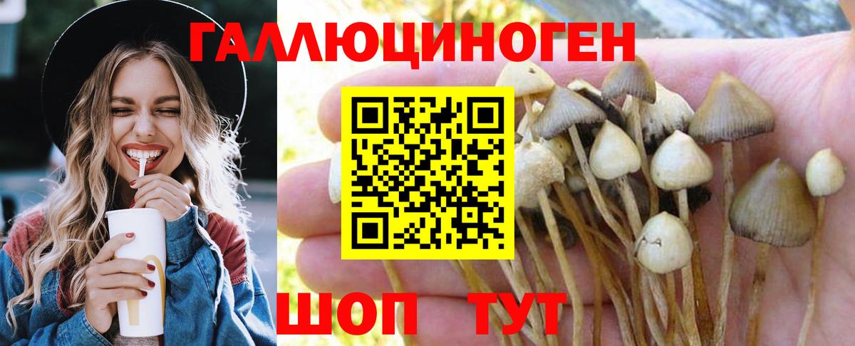 Сафоново  Псилоцибиновые грибы ЛСД  Вход с VPN  Псилоцибиновые грибы MAGIC MUSHROOMS 